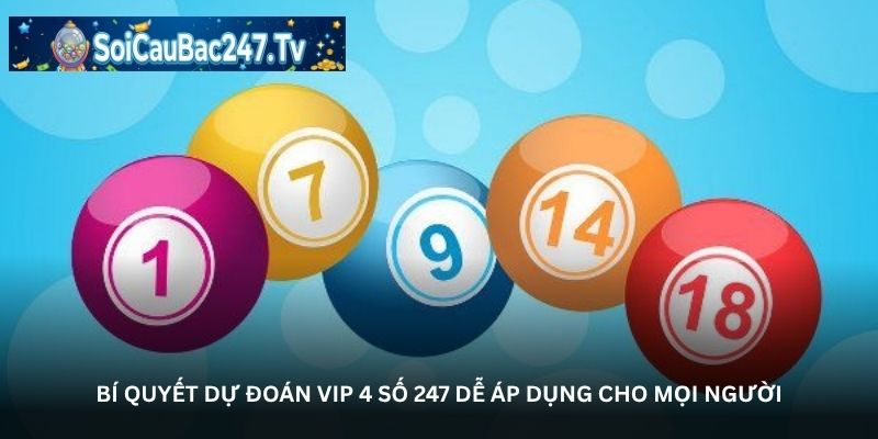 Bí quyết dự đoán VIP 4 số 247 dễ áp dụng cho mọi người