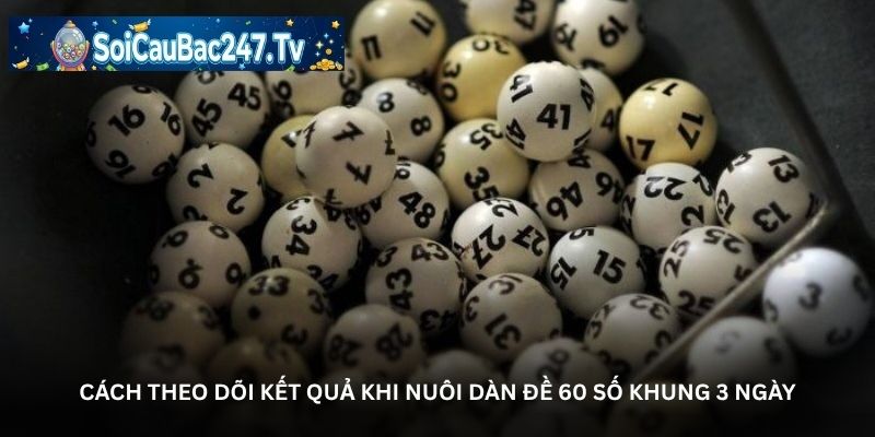 Cách theo dõi kết quả khi nuôi dàn đề 60 số khung 3 ngày