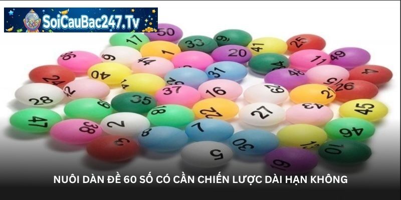 Nuôi dàn đề 60 số có cần chiến lược dài hạn không