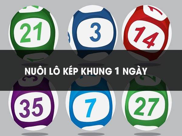 Nuôi bạch thủ lô kép khung 1 ngày