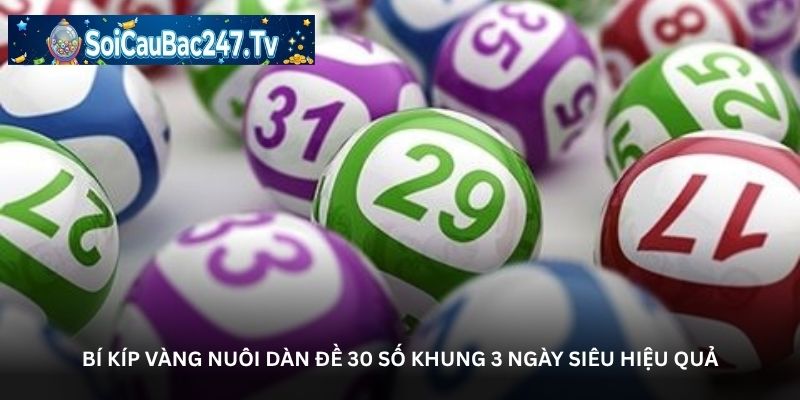 Bí kíp vàng nuôi dàn đề 30 số khung 3 ngày siêu hiệu quả