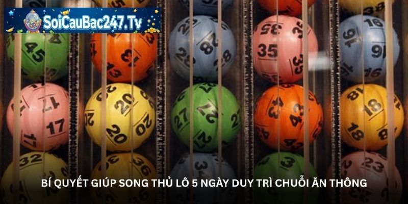 Bí quyết giúp song thủ lô 5 ngày duy trì chuỗi ăn thông