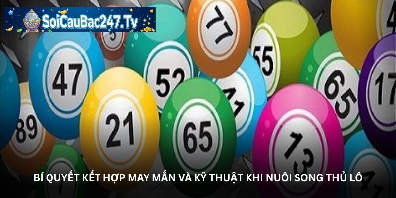 Bí quyết kết hợp may mắn và kỹ thuật khi nuôi song thủ lô