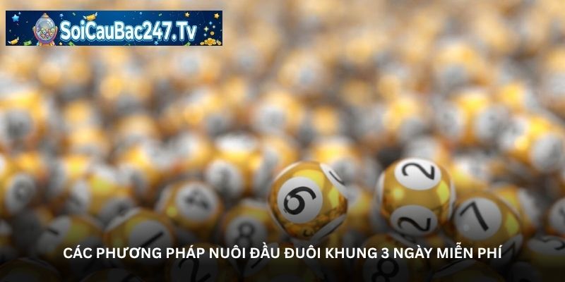 Các phương pháp Nuôi đầu đuôi khung 3 ngày miễn phí