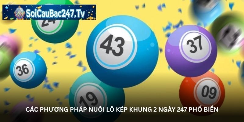 Các phương pháp nuôi lô kép khung 2 ngày 247 phổ biến