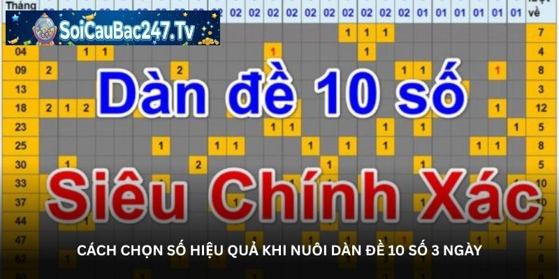 Cách chọn số hiệu quả khi nuôi dàn đề 10 số 3 ngày