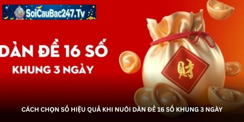Cách chọn số hiệu quả khi nuôi dàn đề 16 số khung 3 ngày