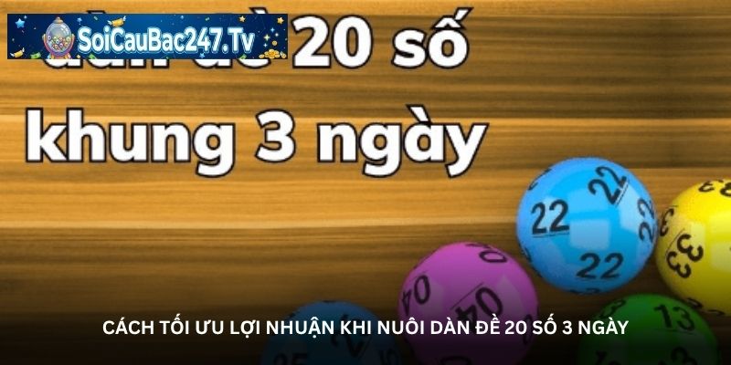 Cách tối ưu lợi nhuận khi nuôi dàn đề 20 số 3 ngày