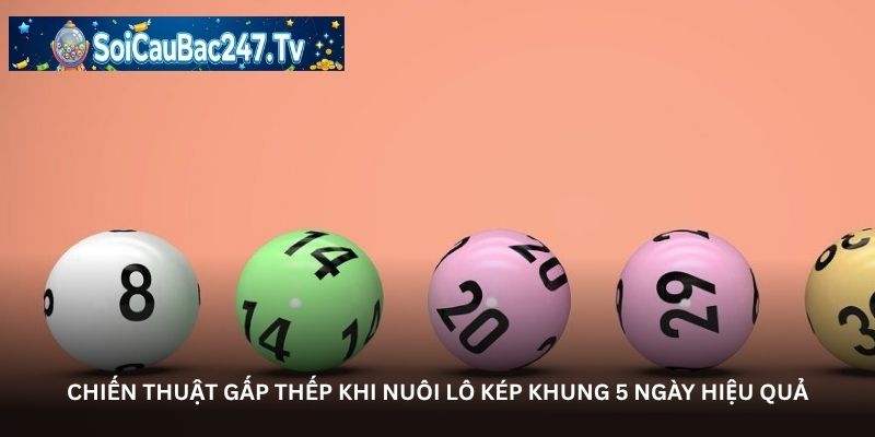 Chiến thuật gấp thếp khi nuôi lô kép khung 5 ngày hiệu quả