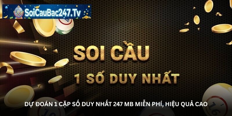  Dự đoán 1 cặp số duy nhất 247 MB miễn phí, hiệu quả cao 