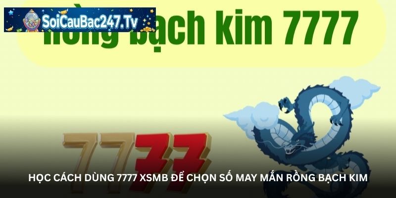 Học cách dùng 7777 XSMB để chọn số may mắn Rồng Bạch Kim