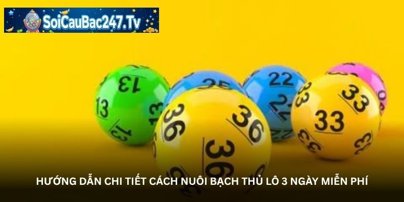 Hướng dẫn chi tiết cách nuôi bạch thủ lô 3 ngày miễn phí