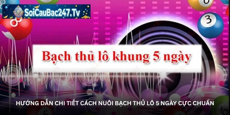 Hướng dẫn chi tiết cách nuôi bạch thủ lô 5 ngày cực chuẩn