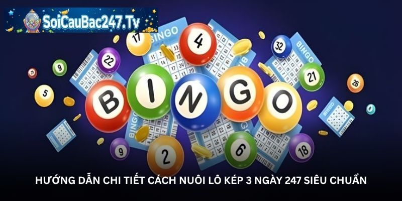 Hướng dẫn chi tiết cách nuôi lô kép 3 ngày 247 siêu chuẩn
