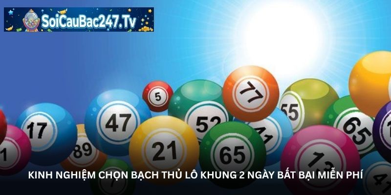 Kinh nghiệm chọn bạch thủ lô khung 2 ngày bất bại miễn phí