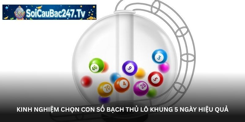 Kinh nghiệm chọn con số bạch thủ lô khung 5 ngày hiệu quả