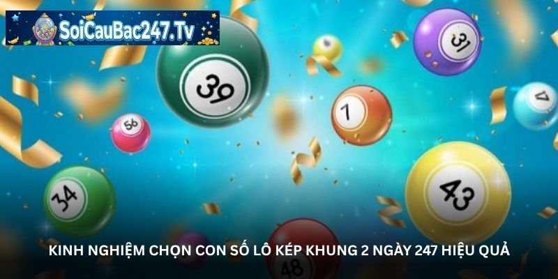 Kinh nghiệm chọn con số lô kép khung 2 ngày 247 hiệu quả