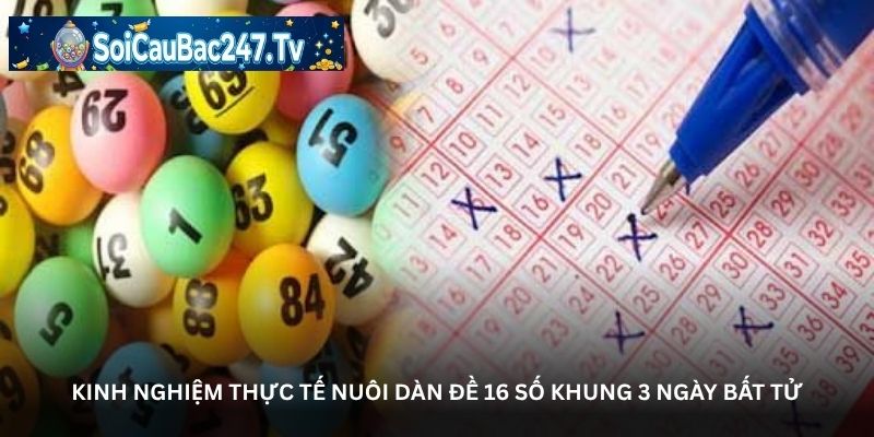 Kinh nghiệm thực tế nuôi dàn đề 16 số khung 3 ngày bất tử