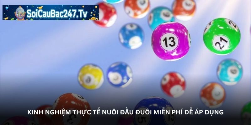 Kinh nghiệm thực tế nuôi đầu đuôi miễn phí dễ áp dụng