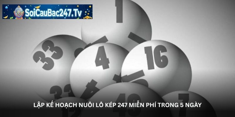 Lập kế hoạch nuôi lô kép 247 miễn phí trong 5 ngày