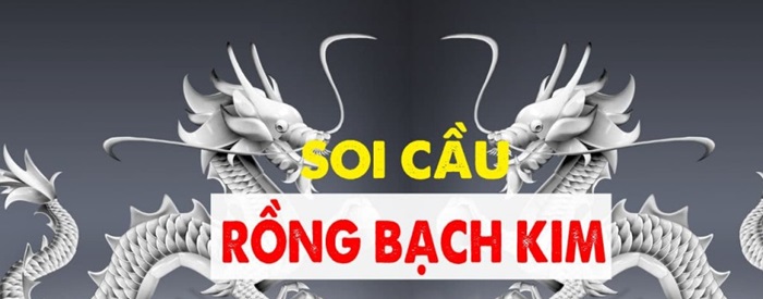 lo top rong bach kim hom nay