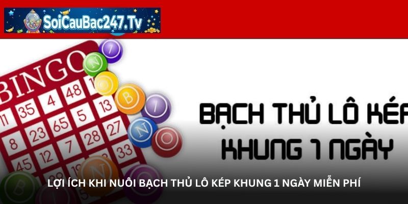 Lợi ích khi nuôi bạch thủ lô kép khung 1 ngày miễn phí