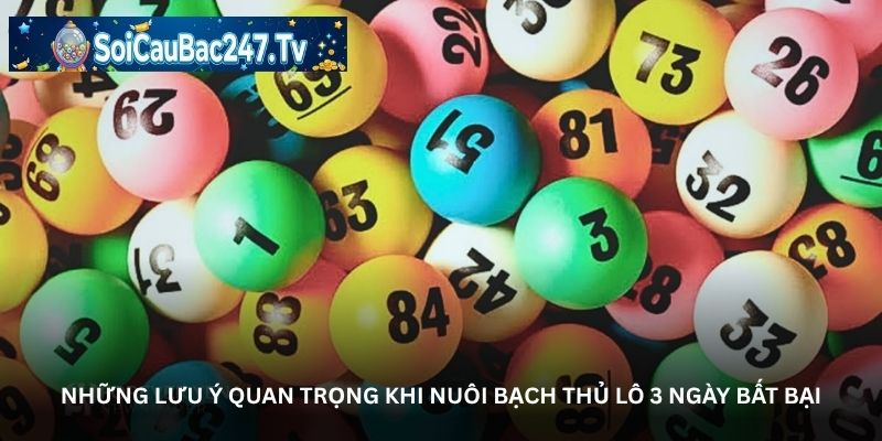 Những lưu ý quan trọng khi nuôi bạch thủ lô 3 ngày bất bại