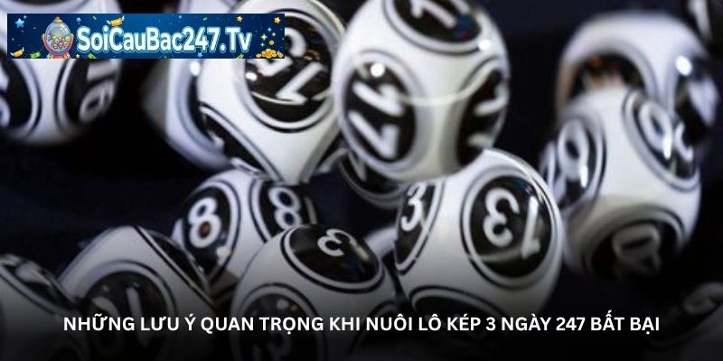 Những lưu ý quan trọng khi nuôi lô kép 3 ngày 247 bất bại