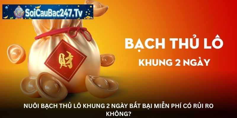 

Nuôi bạch thủ lô khung 2 ngày bất bại miễn phí có rủi ro không?