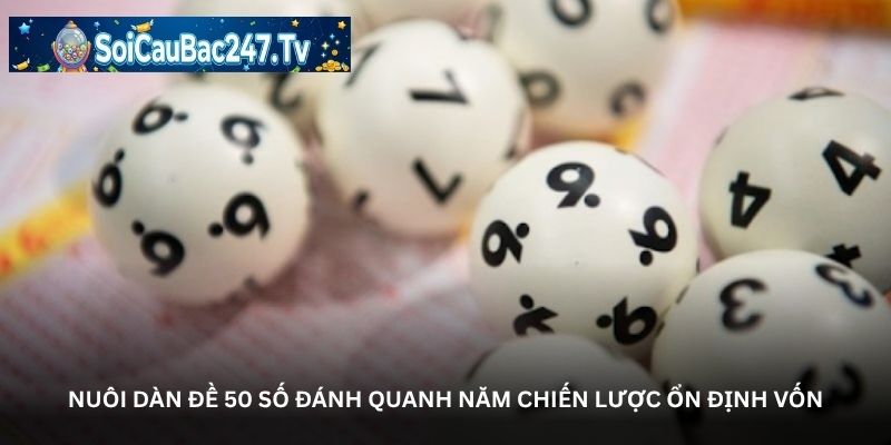 Nuôi dàn đề 50 số đánh quanh năm chiến lược ổn định vốn