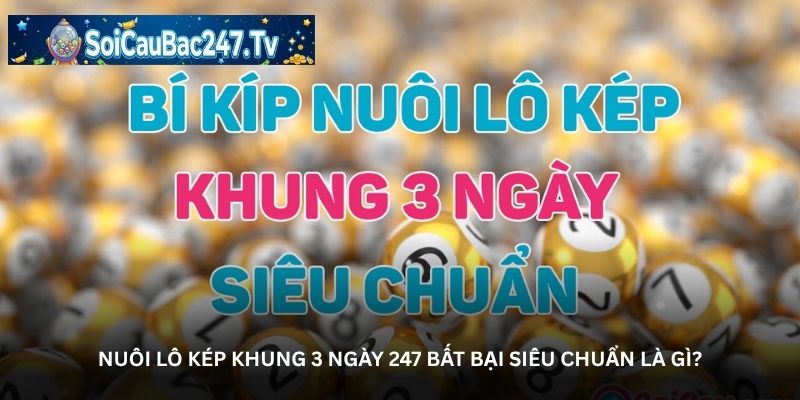 Nuôi lô kép khung 3 ngày 247 bất bại siêu chuẩn là gì?