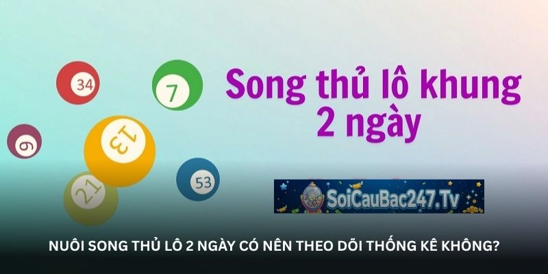 Nuôi song thủ lô 2 ngày có nên theo dõi thống kê không?