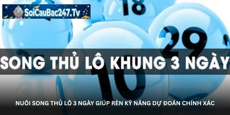 Nuôi song thủ lô 3 ngày giúp rèn kỹ năng dự đoán chính xác