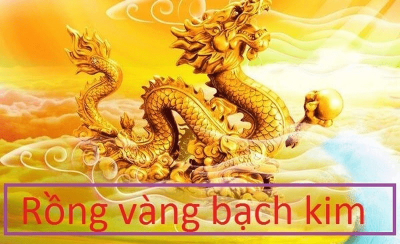 rong bach kim 888 hom nay