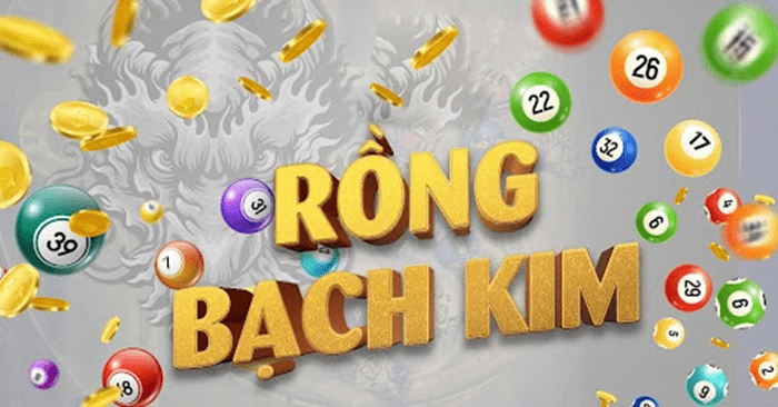 rong bach kim chinh xac 100