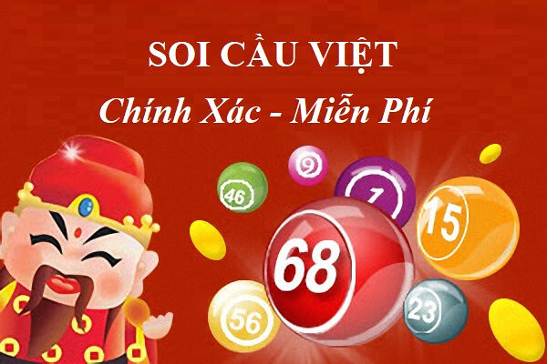 soi cau viet