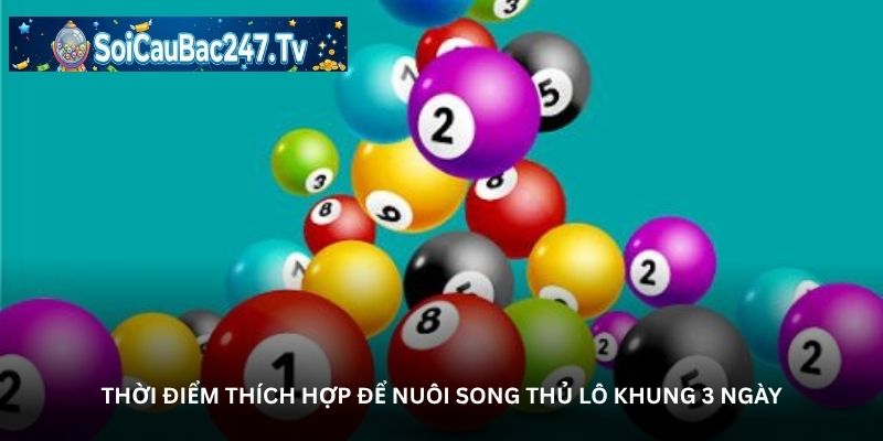 Thời điểm thích hợp để nuôi song thủ lô khung 3 ngày