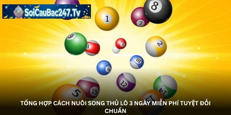 Tổng hợp cách nuôi song thủ lô 3 ngày miễn phí tuyệt đối chuẩn