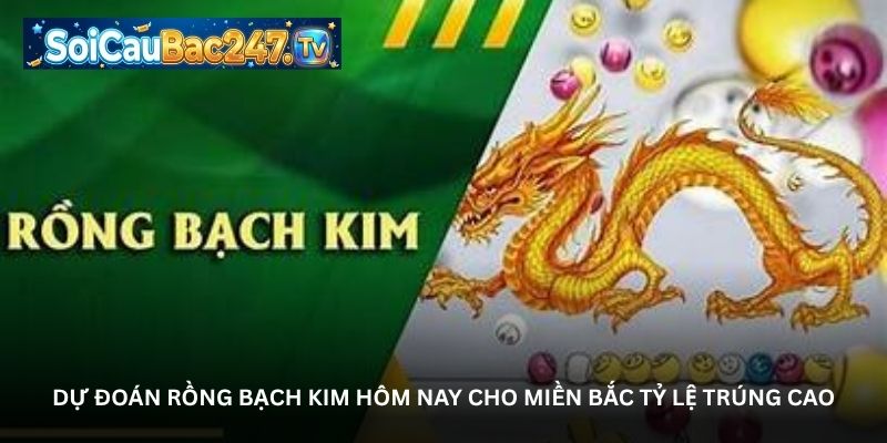 Dự đoán Rồng bạch kim hôm nay cho miền Bắc tỷ lệ trúng cao