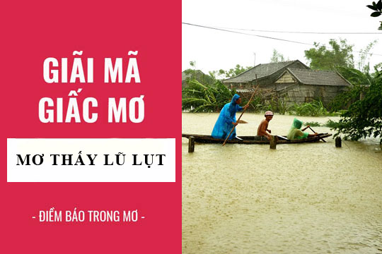 mo thay nuoc lu