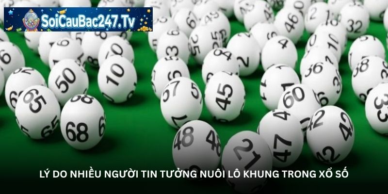 Lý do nhiều người tin tưởng nuôi lô khung trong xổ số