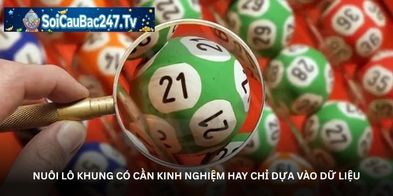Nuôi lô khung có cần kinh nghiệm hay chỉ dựa vào dữ liệu