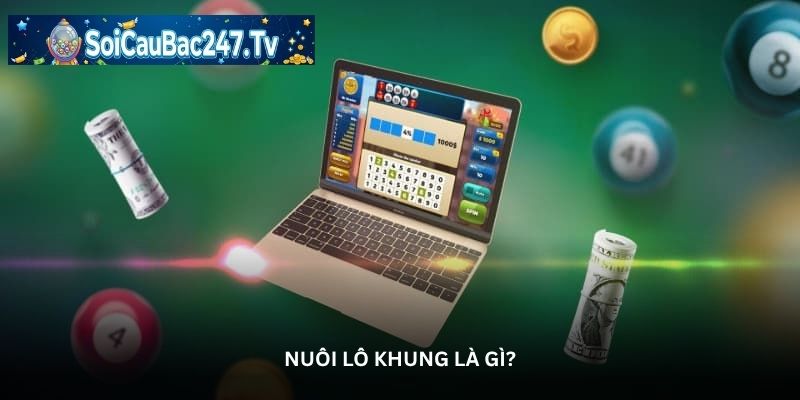 Nuôi lô khung là gì?